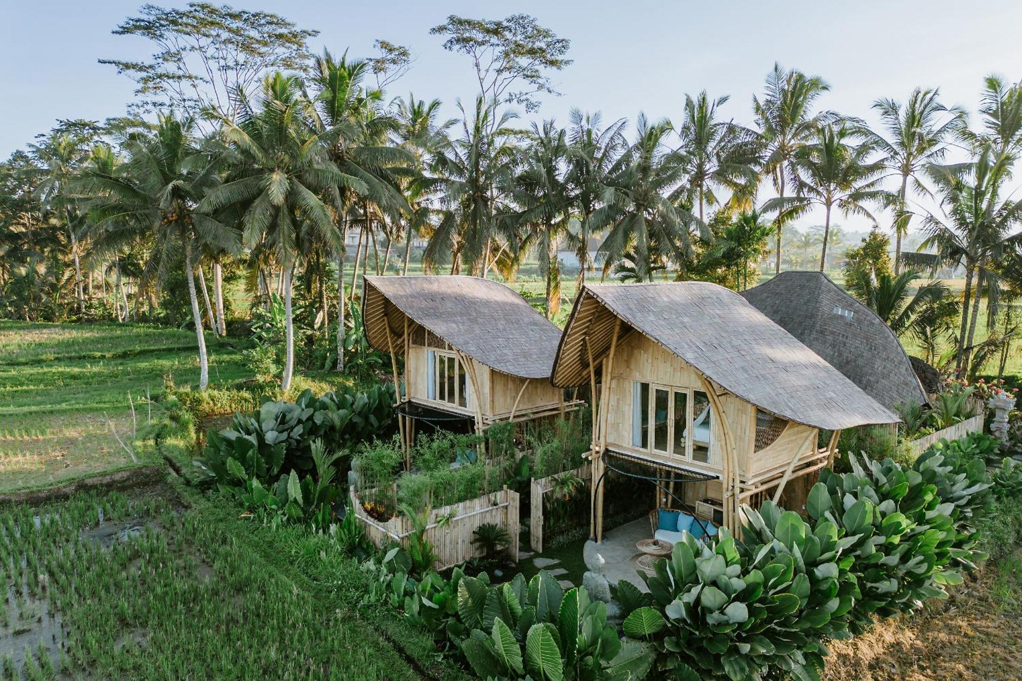 Puca Gavi Eco Luxury Villa Ubud Managed By Manara Eksteriør bilde